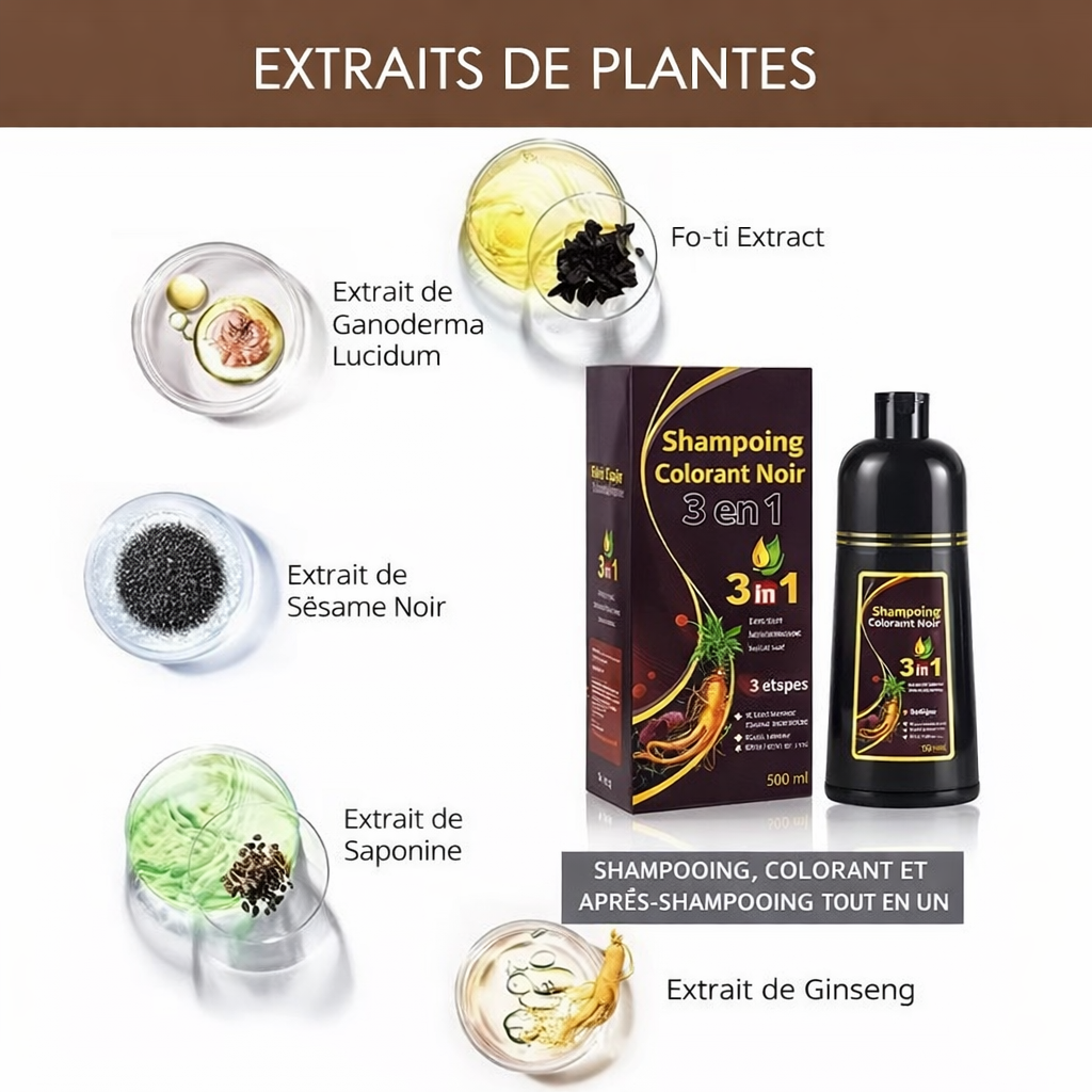 Champoing Naturel Hair Dye grand format ( 500ml ) original