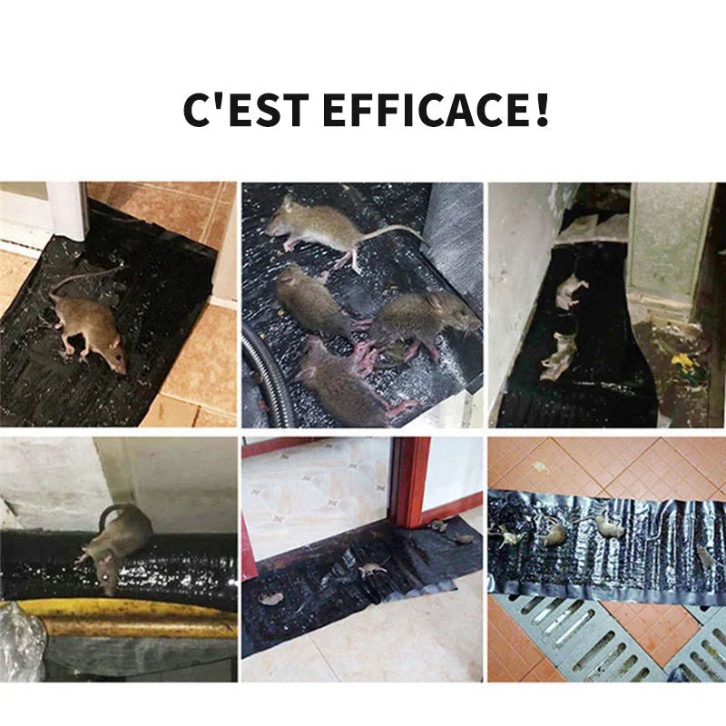 Tapis de piège à souris super collant : 1m20 sur 28Cm ( x3 Pièces )